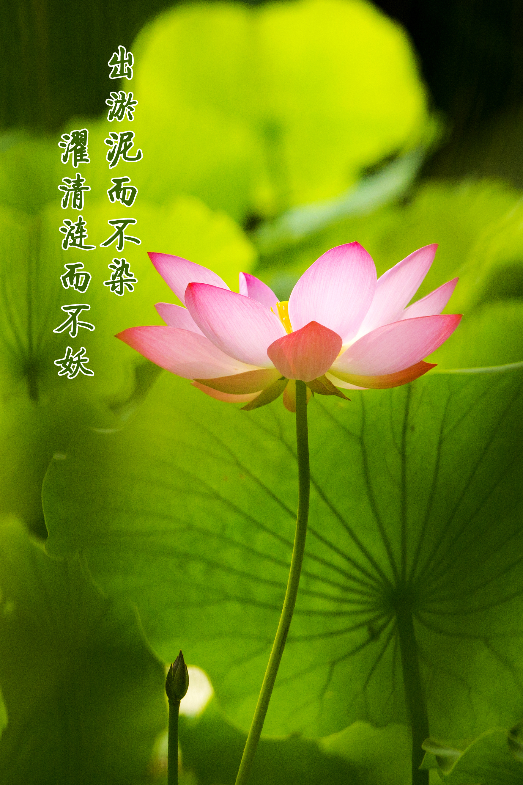 众赢国际(中国)官方网站