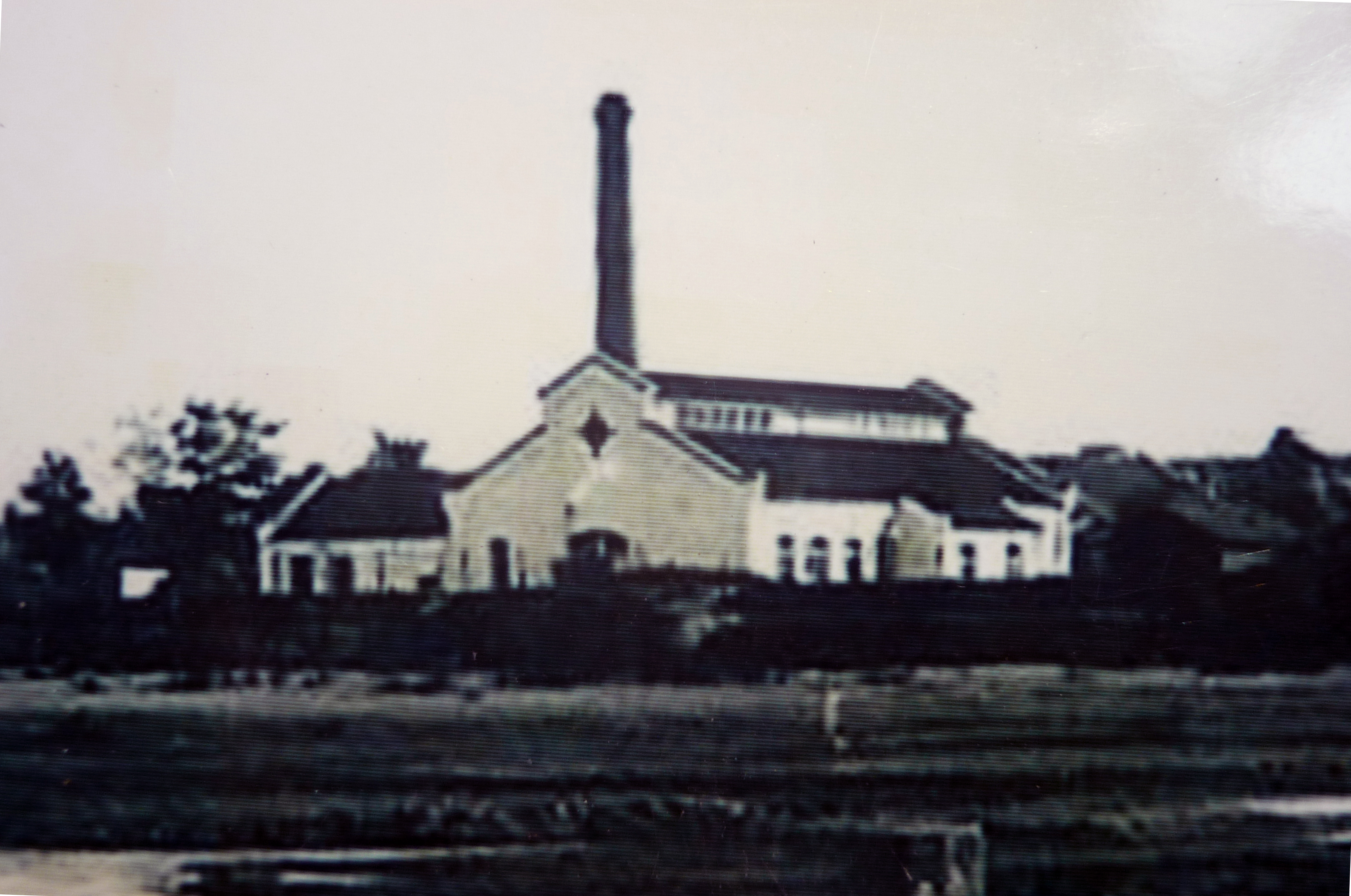 众赢国际(中国)官方网站